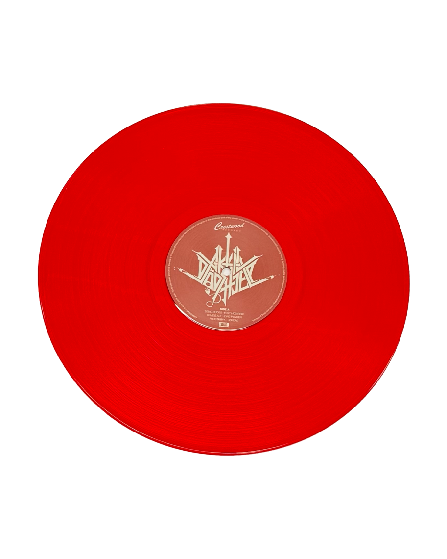 SEND DUDES LIMITED EDITION VINYL